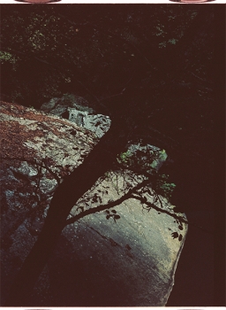http://www.emanueletorti.it/files/gimgs/th-78_2_IMG00013m copia.jpg